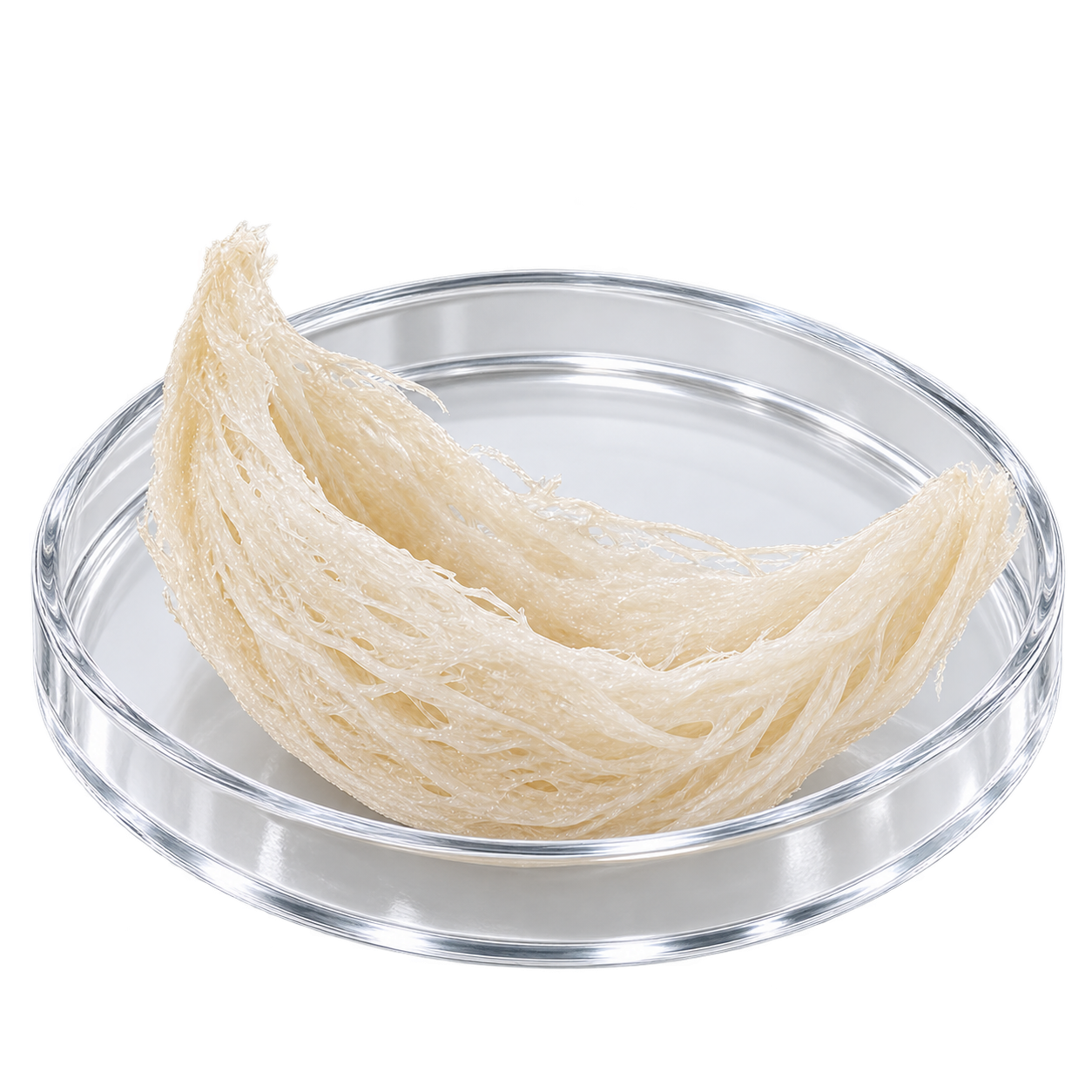 `ส่วนประกอบทั้งหมดของ Recova วิตามินแผลหายไว`