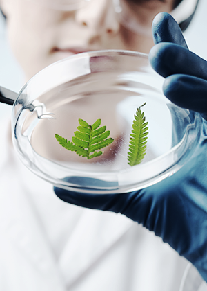 สารสกัด `อ้างอิงงานวิจัย`
พิสูจน์ได้จริง