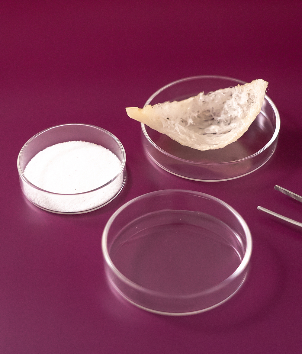 
 


Key Active Ingredients in Recova Wound Healing Supplement


