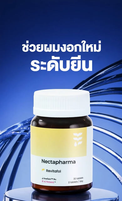 ตำนานบทใหม่กำลังจะเริ่ม
#วิตามินแฮร์เกิด สูตรใหม่ที่ดีกว่าเดิม ✨

ยกระดับการดูแลผมด้วยการเพิ่มสารออกฤทธิ์ตัวใหม่ และเพิ่มปริมาณสารสกัดเดิม รวมสารสกัด 16 ชนิด
✅ ลดปัจจัยที่ทำให้ผมร่วง
✅ เพิ่มผมงอกใหม่ระดับยีน
✅ ดูแลผมร่วงกรรมพันธุ์