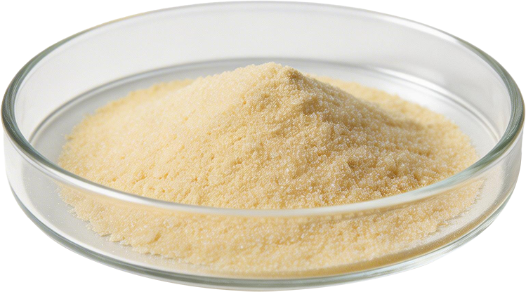 `ส่วนประกอบทั้งหมดของวิตามินภูมิแพ้ Allertec`