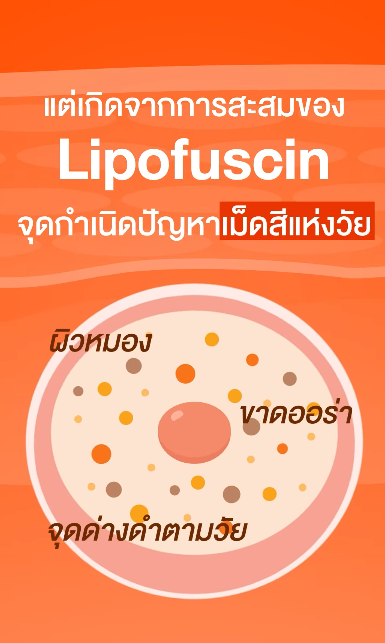 #ฉ่ำแสงเซรั่ม Whitening Serum ที่ทุ่มงบวิจัยกว่า 500,000 บาท เพื่อส่งทดสอบผลลัพธ์ใน 