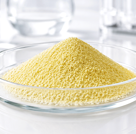 Quercetin Dihydrate