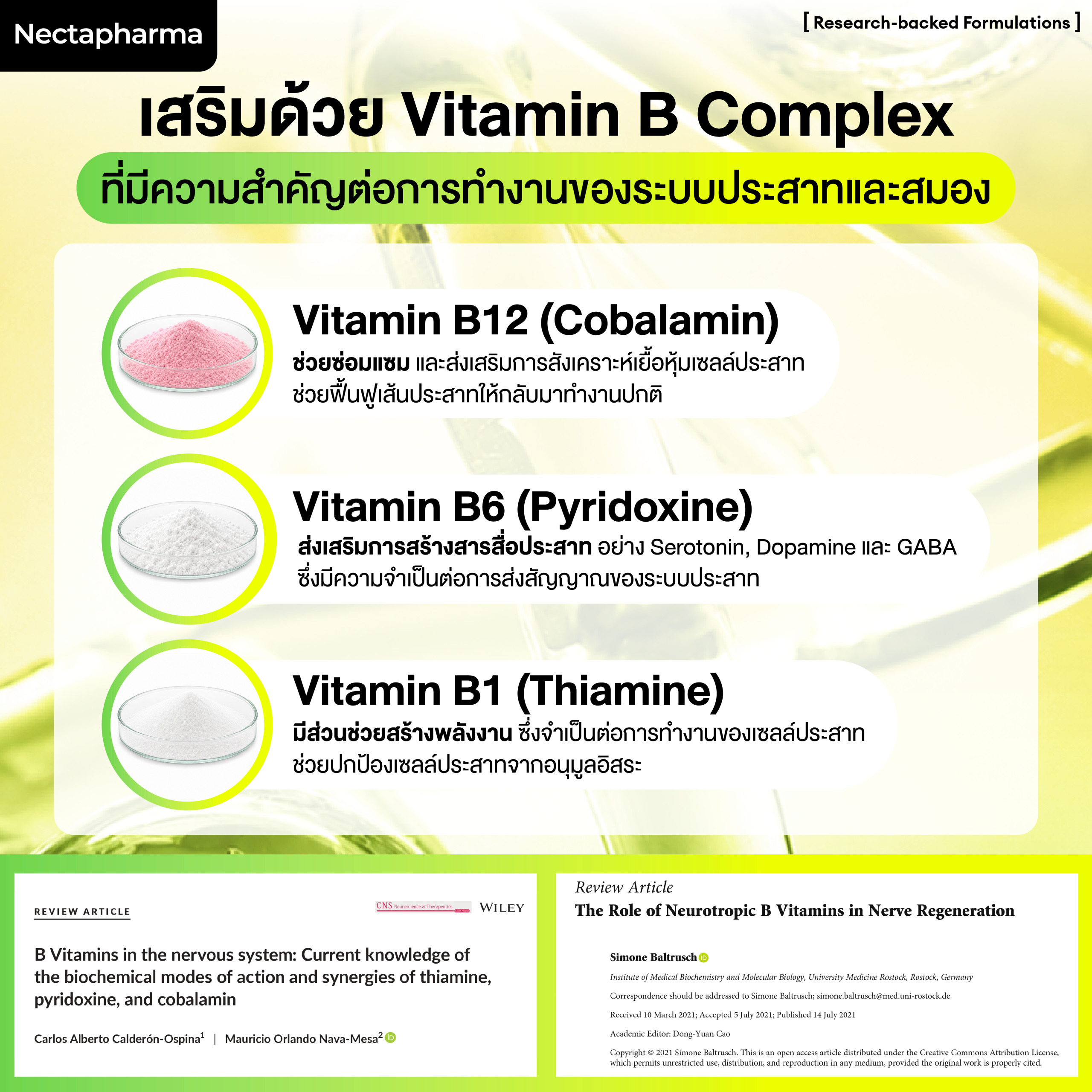 Nectapharma DayDev วิตามินช่วยความจำ แก้อ่อนเพลีย