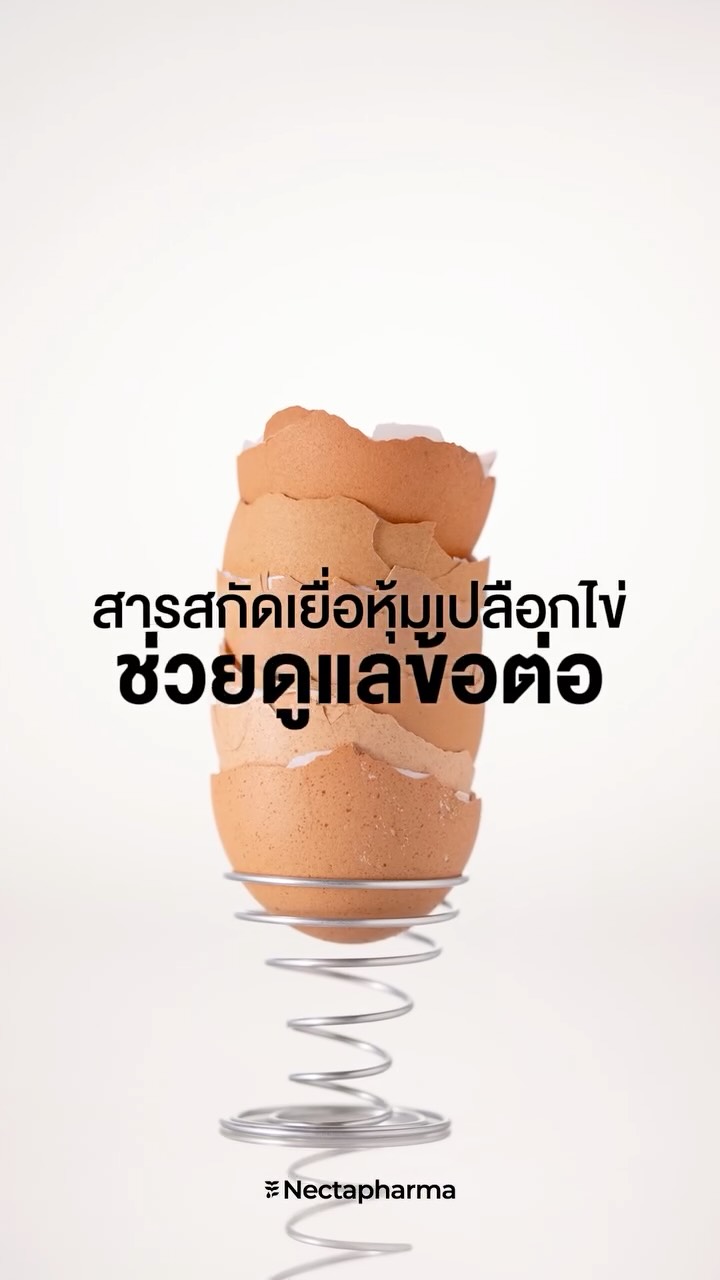 ใหม่! Nemical #วิตามินแข็งข้อ🦴
ทางออกเรื่องกระดูกและข้อสำหรับทุกเจน

รวม 4 สารสกัดที่ช่วยเรื่องกระดูกและข้อ ครบจบในสูตรเดียว
🩶 NEM® - สิทธิบัตรจากอเมริกา มีสารที่จำเป็นในการดูแลข้อต่อ
🩶 Calcium Carbonate - ช่วยชะลอมวลกระดูกไม่ให้เสื่อมตามวัย
🩶 Vitamin D3 - เพิ่มการดูดซึมแคลเซียม
🩶 Vitamin K2 - ช่วยขนส่งแคลเซียมไปยังกระดูกได้อย่างตรงจุด